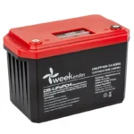 Литий ферумный аккумулятор с дисплеем Weekender IP66 CNLFP100-12.8